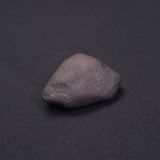 WILUNA METEORITE, H5 Chondrite, Australia YWM004