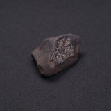 WILUNA METEORITE, H5 Chondrite, Australia YWM005