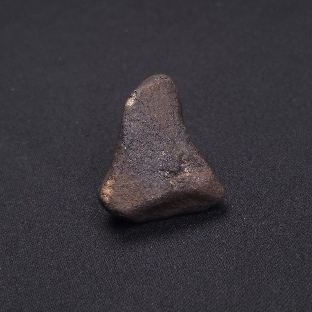 WILUNA METEORITE, H5 Chondrite, Australia YWM005