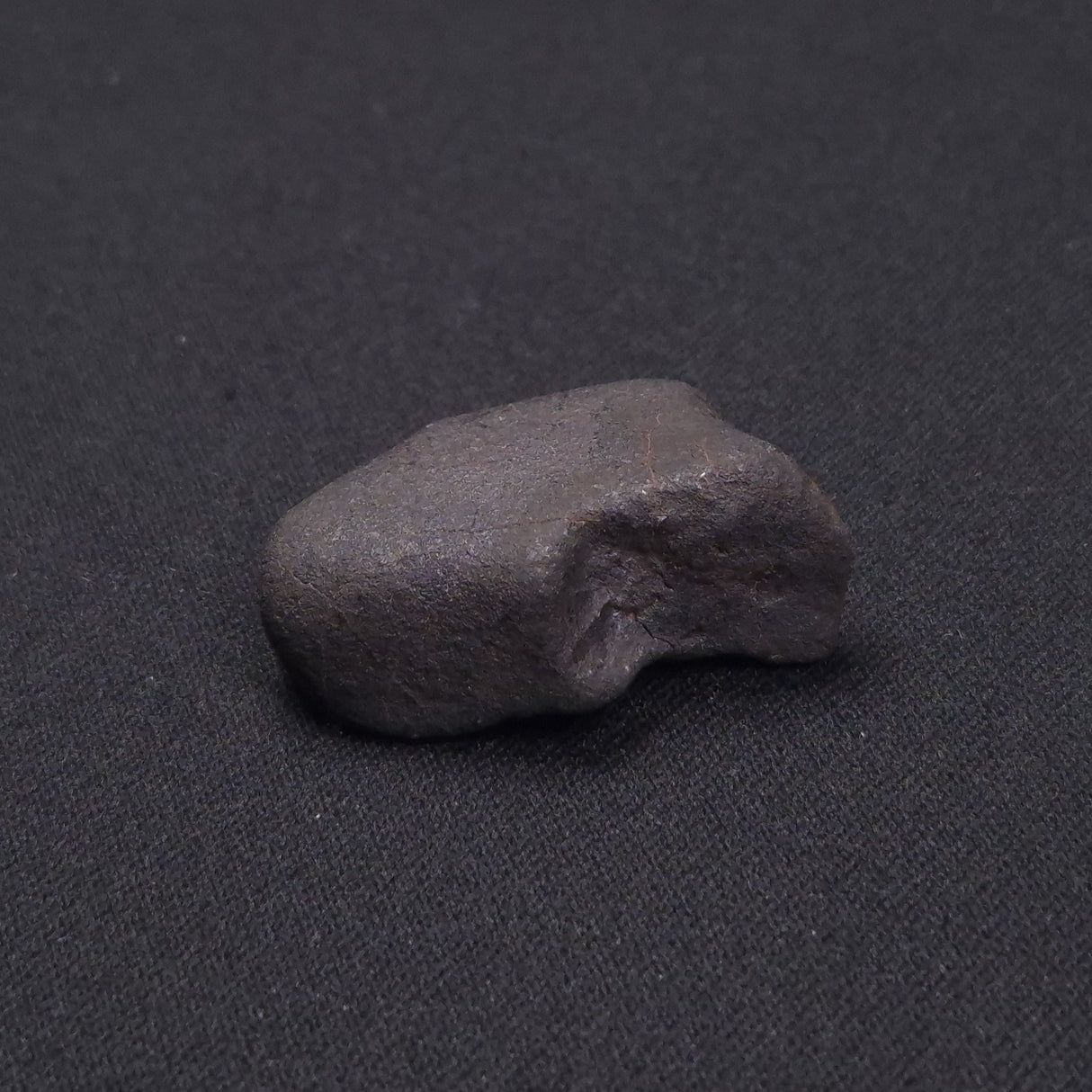 WILUNA METEORITE, H5 Chondrite, Australia YWM006