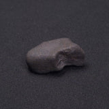WILUNA METEORITE, H5 Chondrite, Australia YWM006