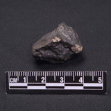 WILUNA METEORITE, H5 Chondrite, Australia YWM008