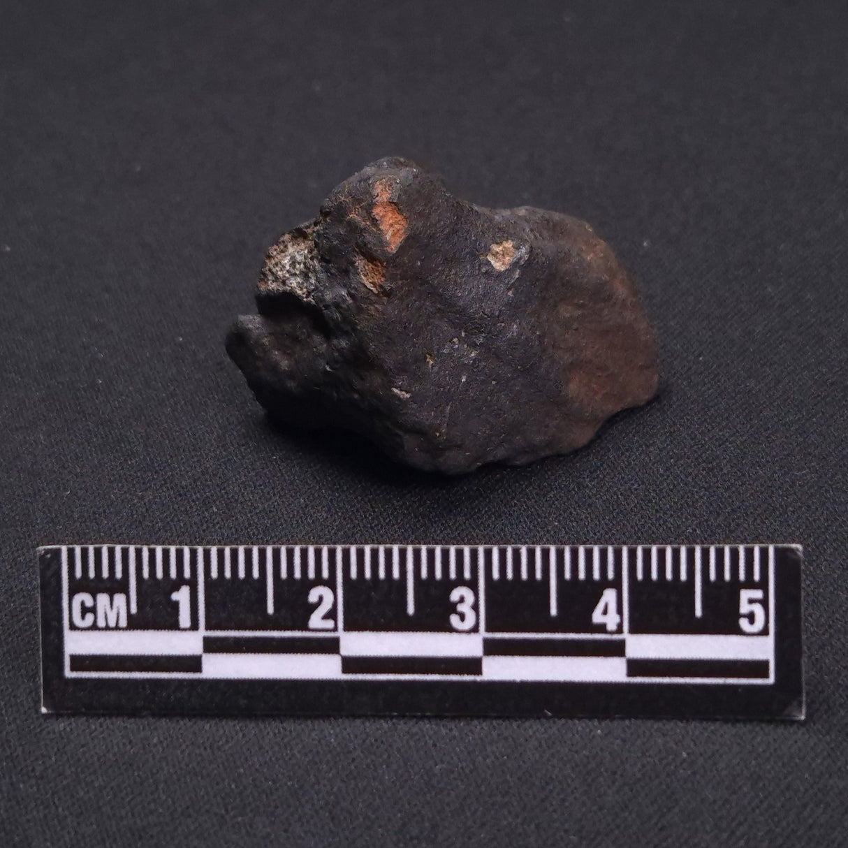 WILUNA METEORITE, H5 Chondrite, Australia YWM009