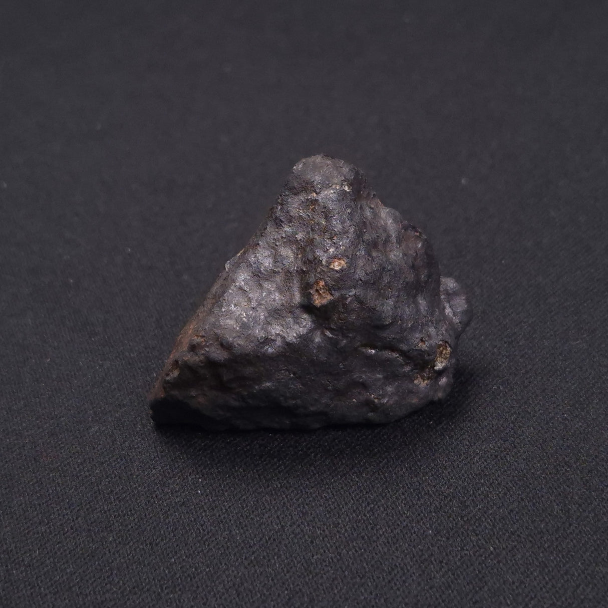 WILUNA METEORITE, H5 Chondrite, Australia YWM009