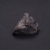 WILUNA METEORITE, H5 Chondrite, Australia YWM009
