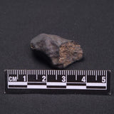 WILUNA METEORITE, H5 Chondrite, Australia YWM012