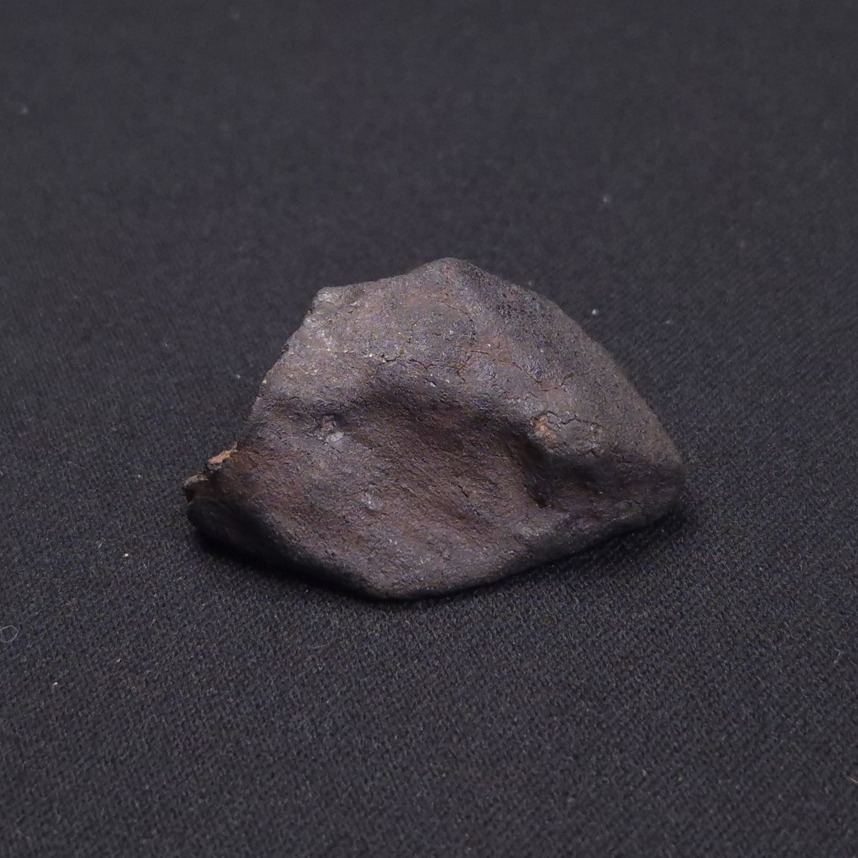 WILUNA METEORITE, H5 Chondrite, Australia YWM012