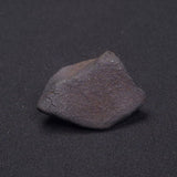 WILUNA METEORITE, H5 Chondrite, Australia YWM012