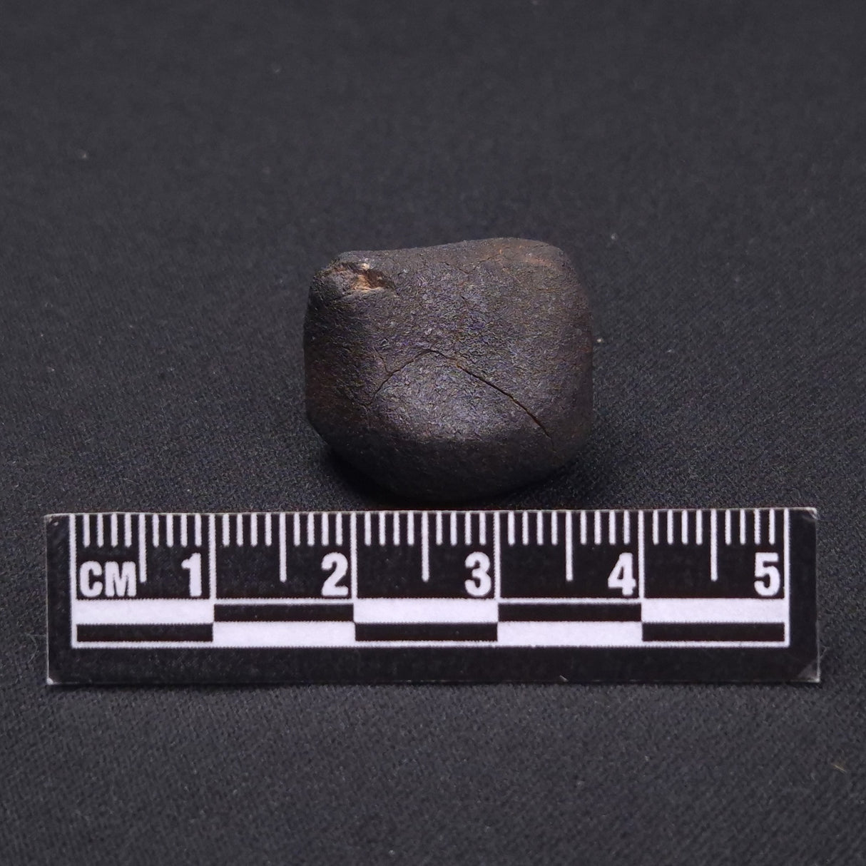 WILUNA METEORITE, H5 Chondrite, Australia YWM013