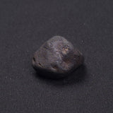 WILUNA METEORITE, H5 Chondrite, Australia YWM013