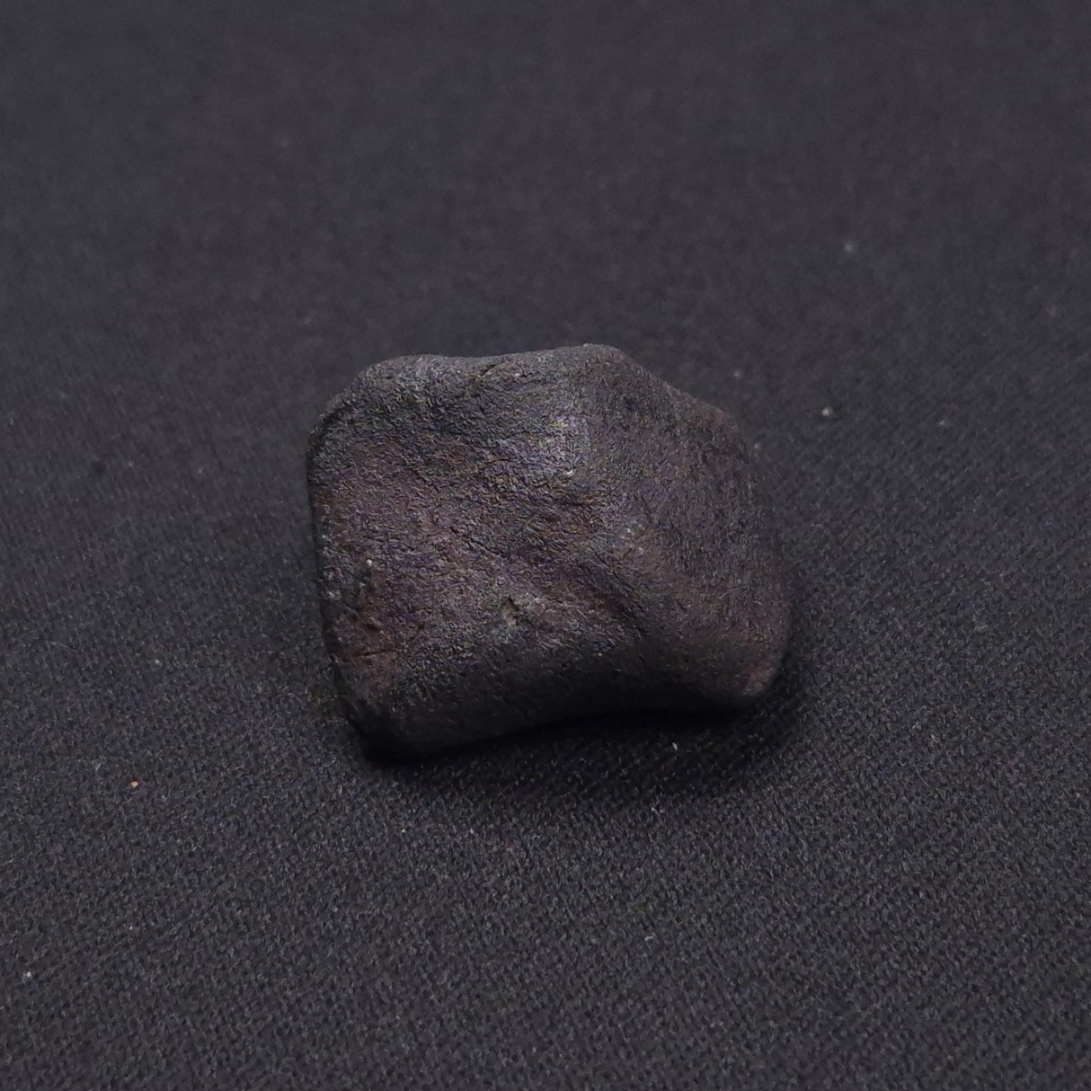 WILUNA METEORITE, H5 Chondrite, Australia YWM013