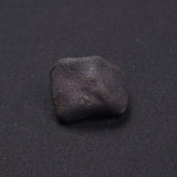 WILUNA METEORITE, H5 Chondrite, Australia YWM013