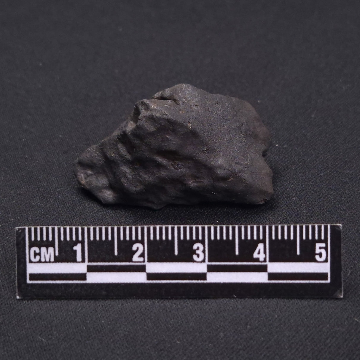 WILUNA METEORITE, H5 Chondrite, Australia YWM015