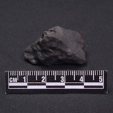 WILUNA METEORITE, H5 Chondrite, Australia YWM015