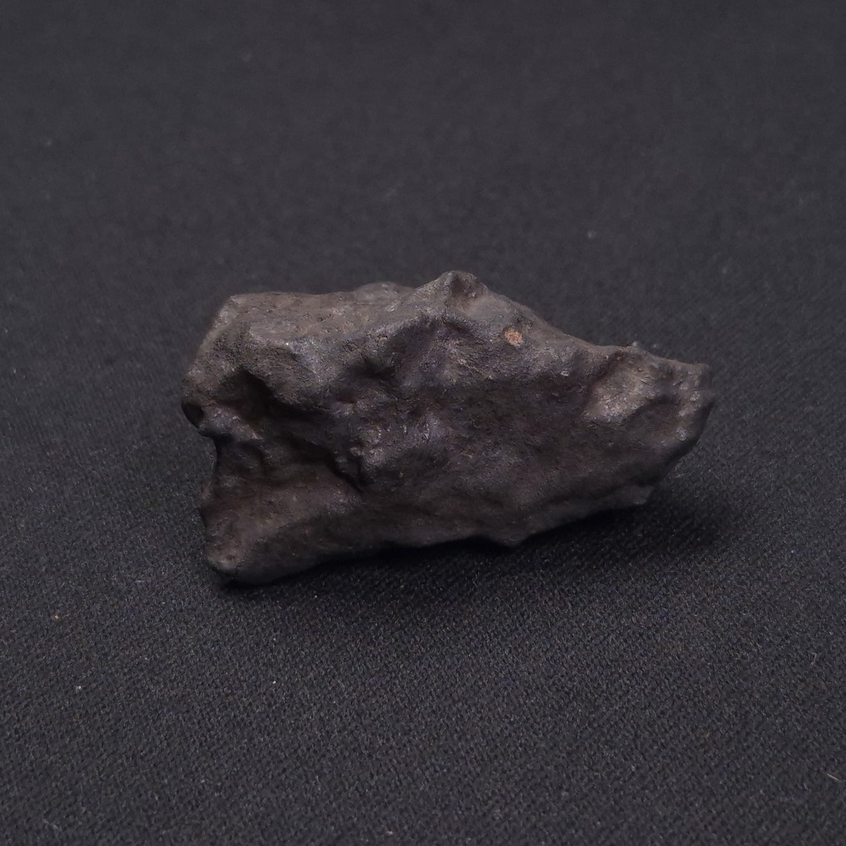 WILUNA METEORITE, H5 Chondrite, Australia YWM015