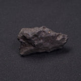 WILUNA METEORITE, H5 Chondrite, Australia YWM015
