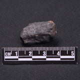 WILUNA METEORITE, H5 Chondrite, Australia YWM017