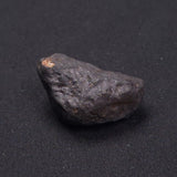 WILUNA METEORITE, H5 Chondrite, Australia YWM017