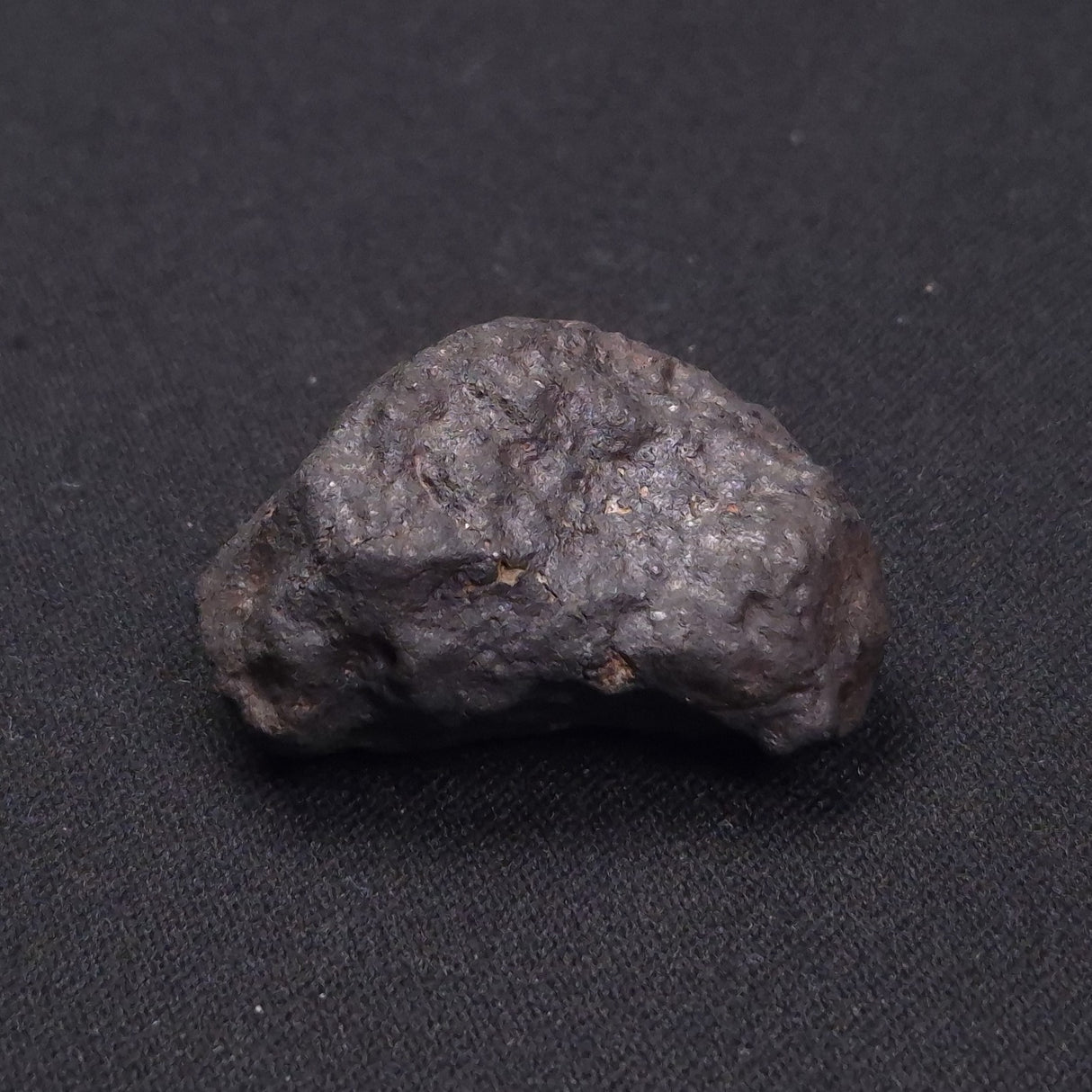 WILUNA METEORITE, H5 Chondrite, Australia YWM017