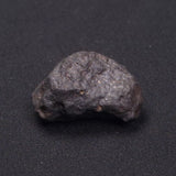 WILUNA METEORITE, H5 Chondrite, Australia YWM017