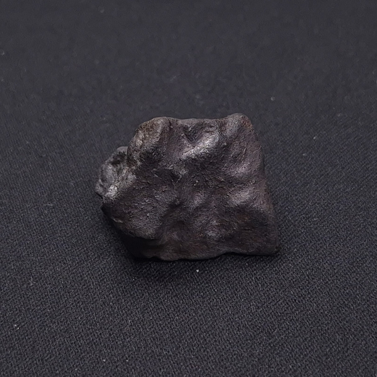 WILUNA METEORITE, H5 Chondrite, Australia YWM018