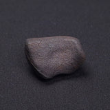 WILUNA METEORITE, H5 Chondrite, Australia YWM021
