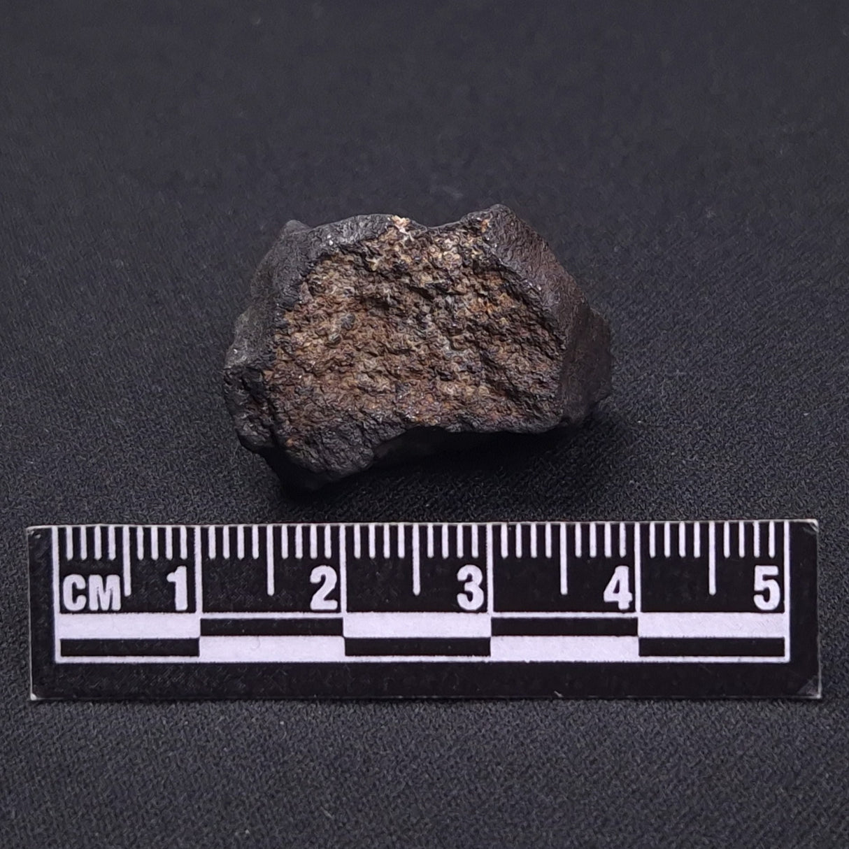 WILUNA METEORITE, H5 Chondrite, Australia YWM022