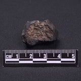 WILUNA METEORITE, H5 Chondrite, Australia YWM022
