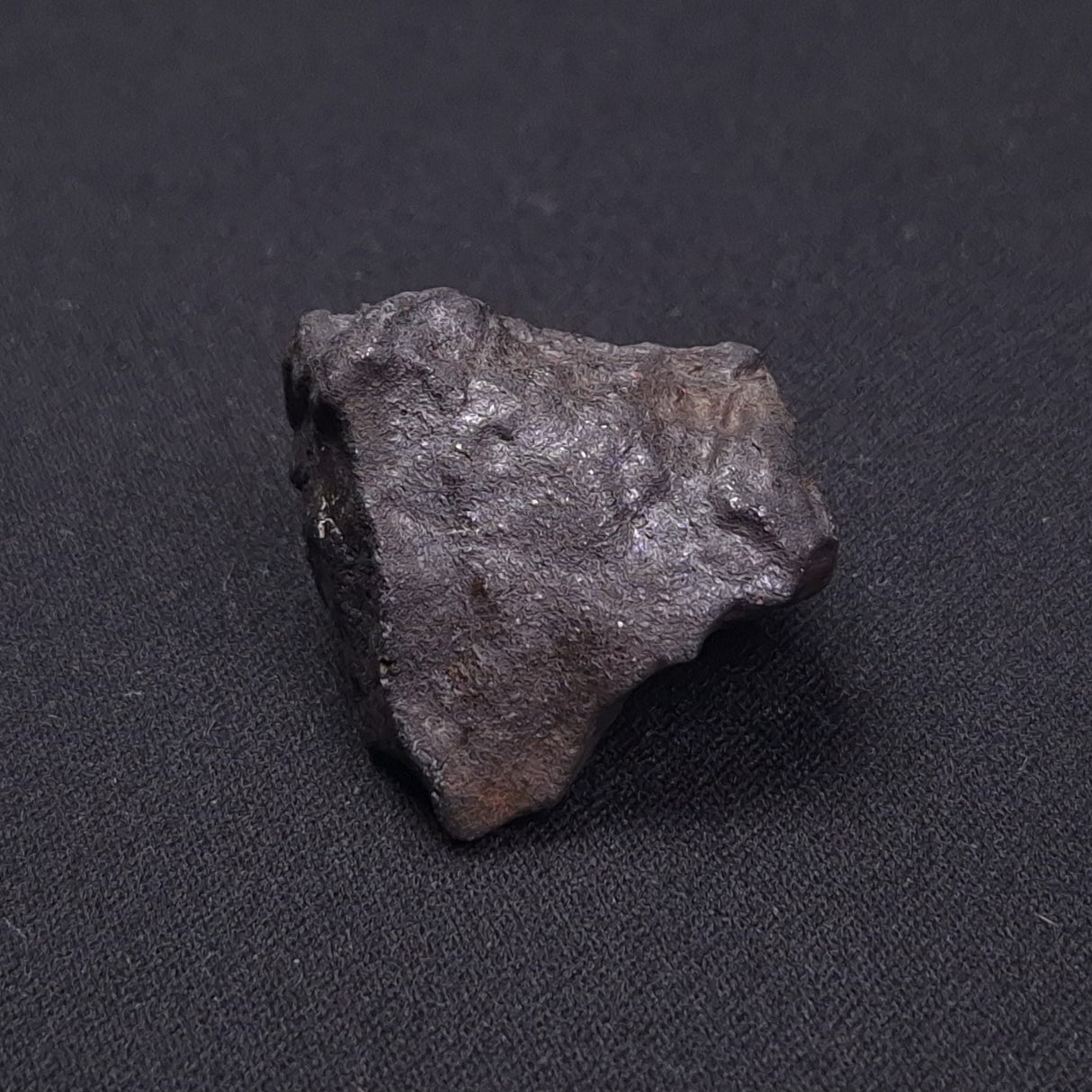 WILUNA METEORITE, H5 Chondrite, Australia YWM022