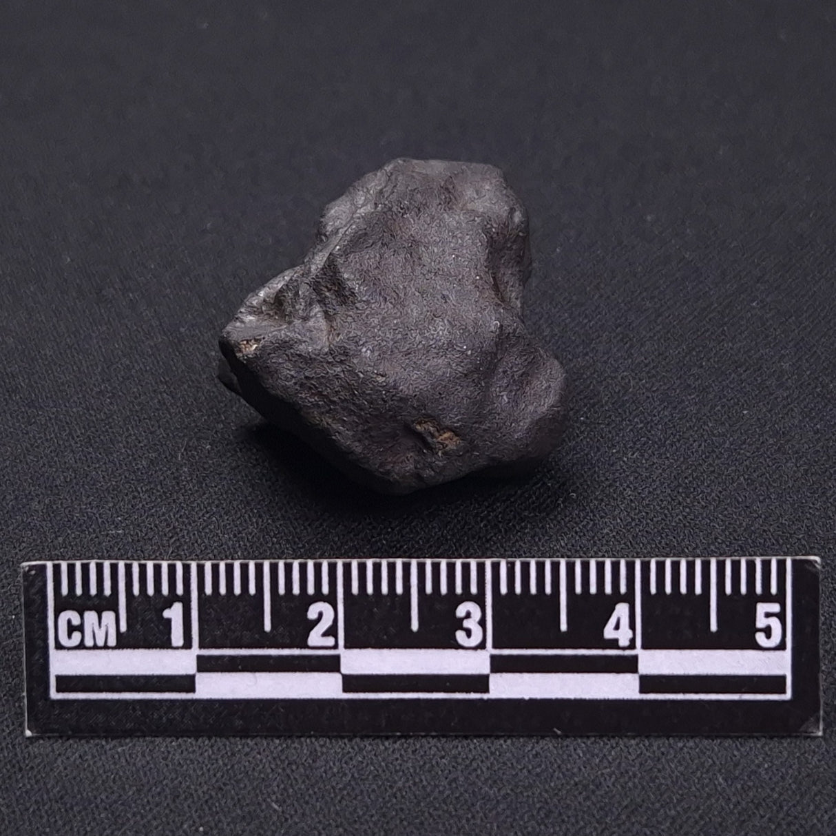 WILUNA METEORITE, H5 Chondrite, Australia YWM023