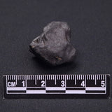 WILUNA METEORITE, H5 Chondrite, Australia YWM023