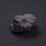 WILUNA METEORITE, H5 Chondrite, Australia YWM024