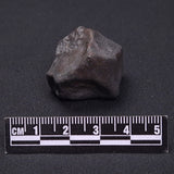 WILUNA METEORITE, H5 Chondrite, Australia YWM025