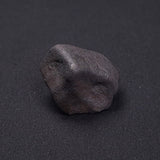WILUNA METEORITE, H5 Chondrite, Australia YWM025