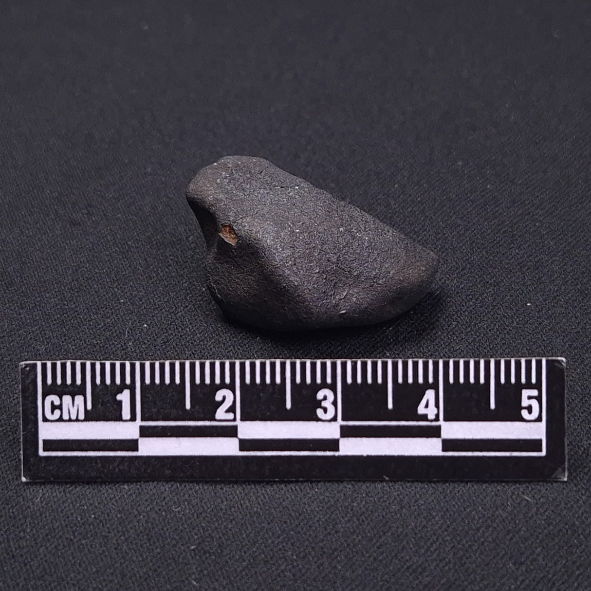 WILUNA METEORITE, H5 Chondrite, Australia YWM026