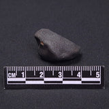 WILUNA METEORITE, H5 Chondrite, Australia YWM026