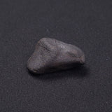 WILUNA METEORITE, H5 Chondrite, Australia YWM026