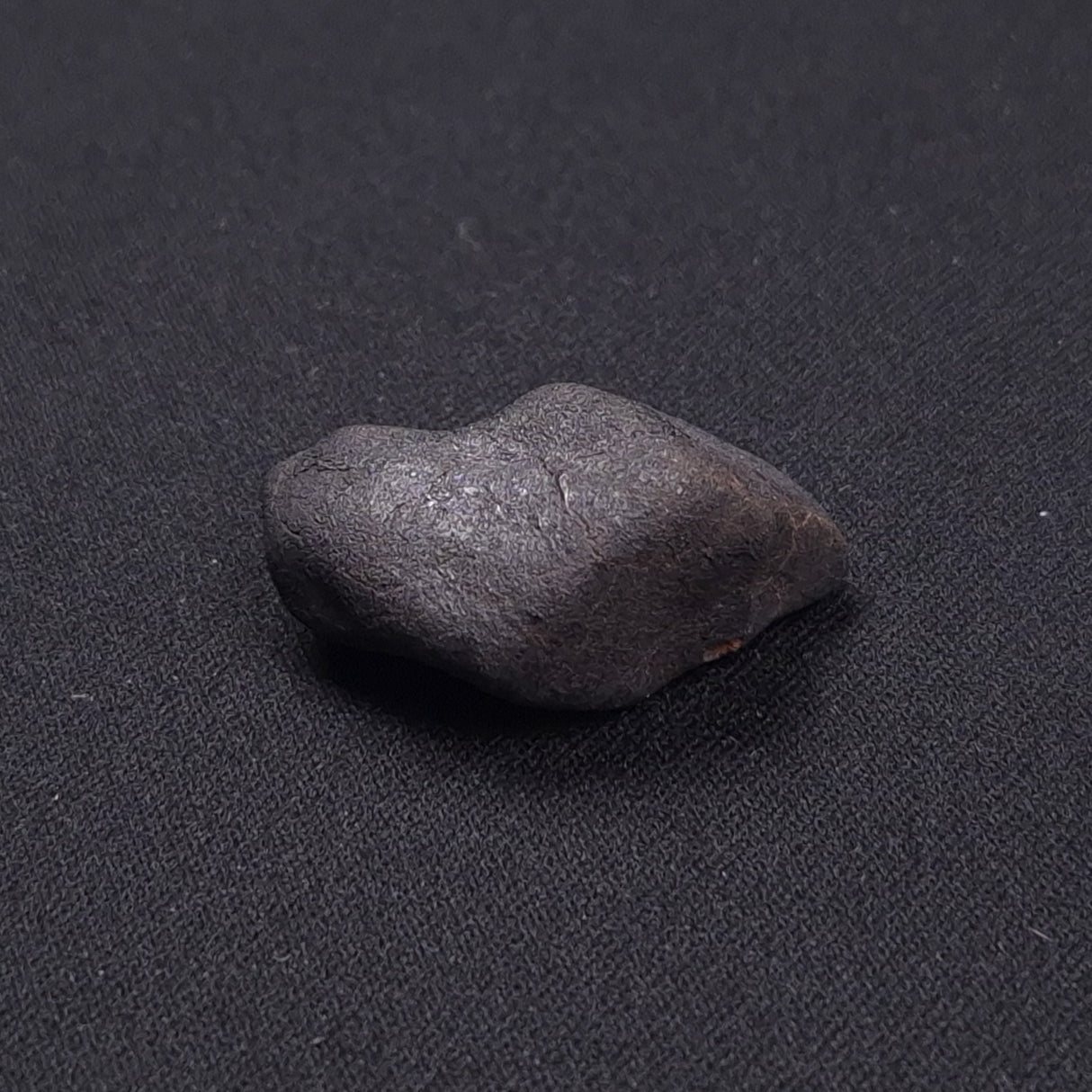 WILUNA METEORITE, H5 Chondrite, Australia YWM026