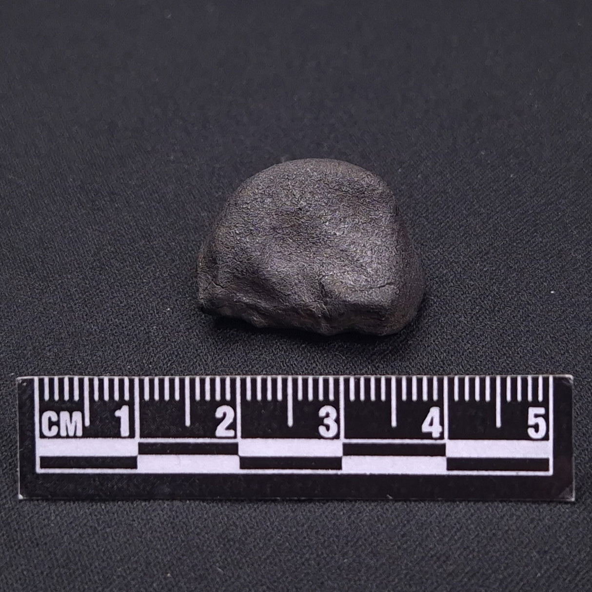 WILUNA METEORITE, H5 Chondrite, Australia YWM027