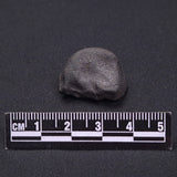 WILUNA METEORITE, H5 Chondrite, Australia YWM027
