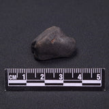 WILUNA METEORITE, H5 Chondrite, Australia YWM028