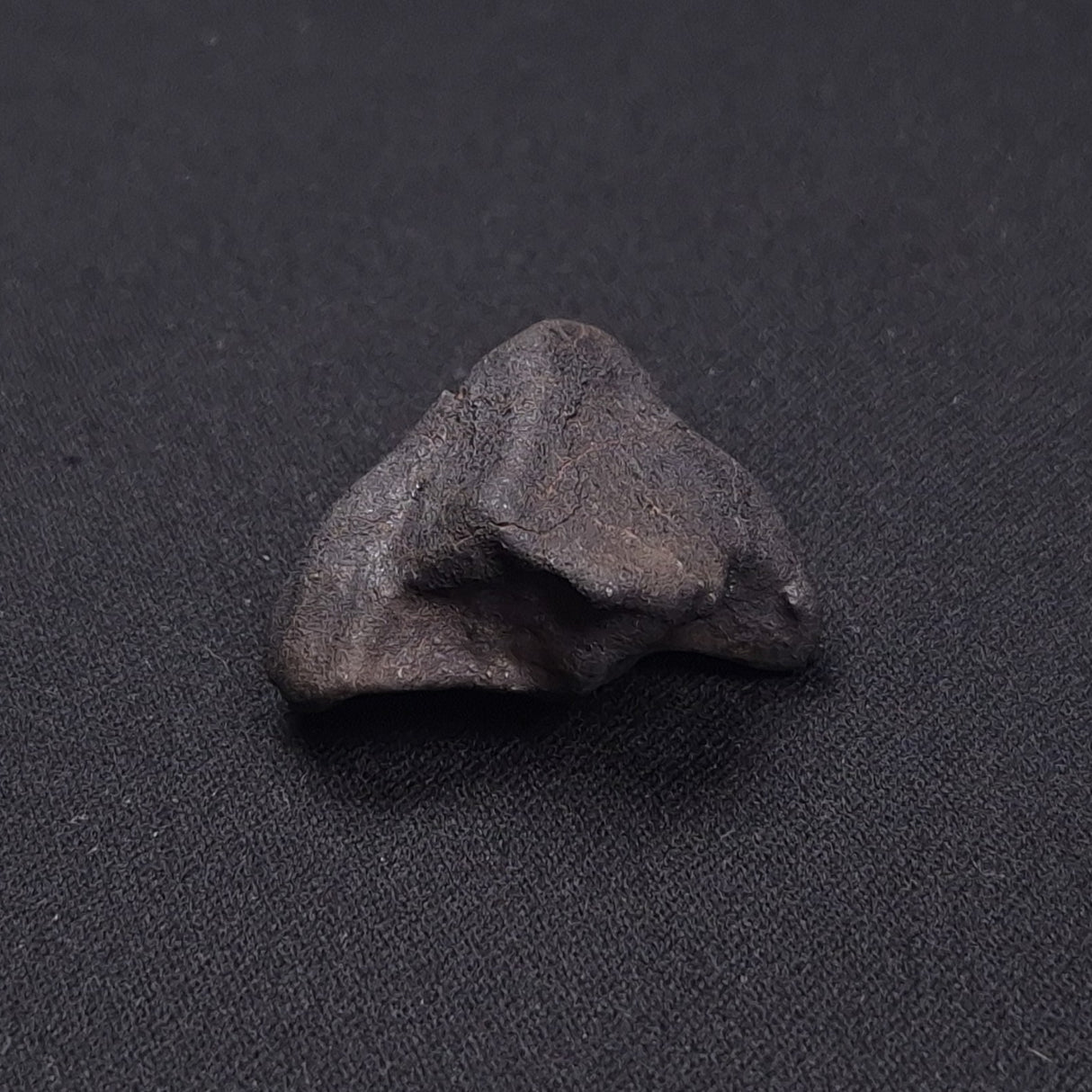 WILUNA METEORITE, H5 Chondrite, Australia YWM028