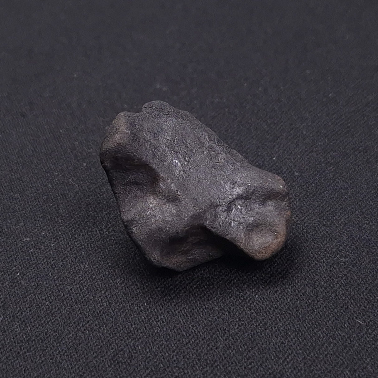 WILUNA METEORITE, H5 Chondrite, Australia YWM028