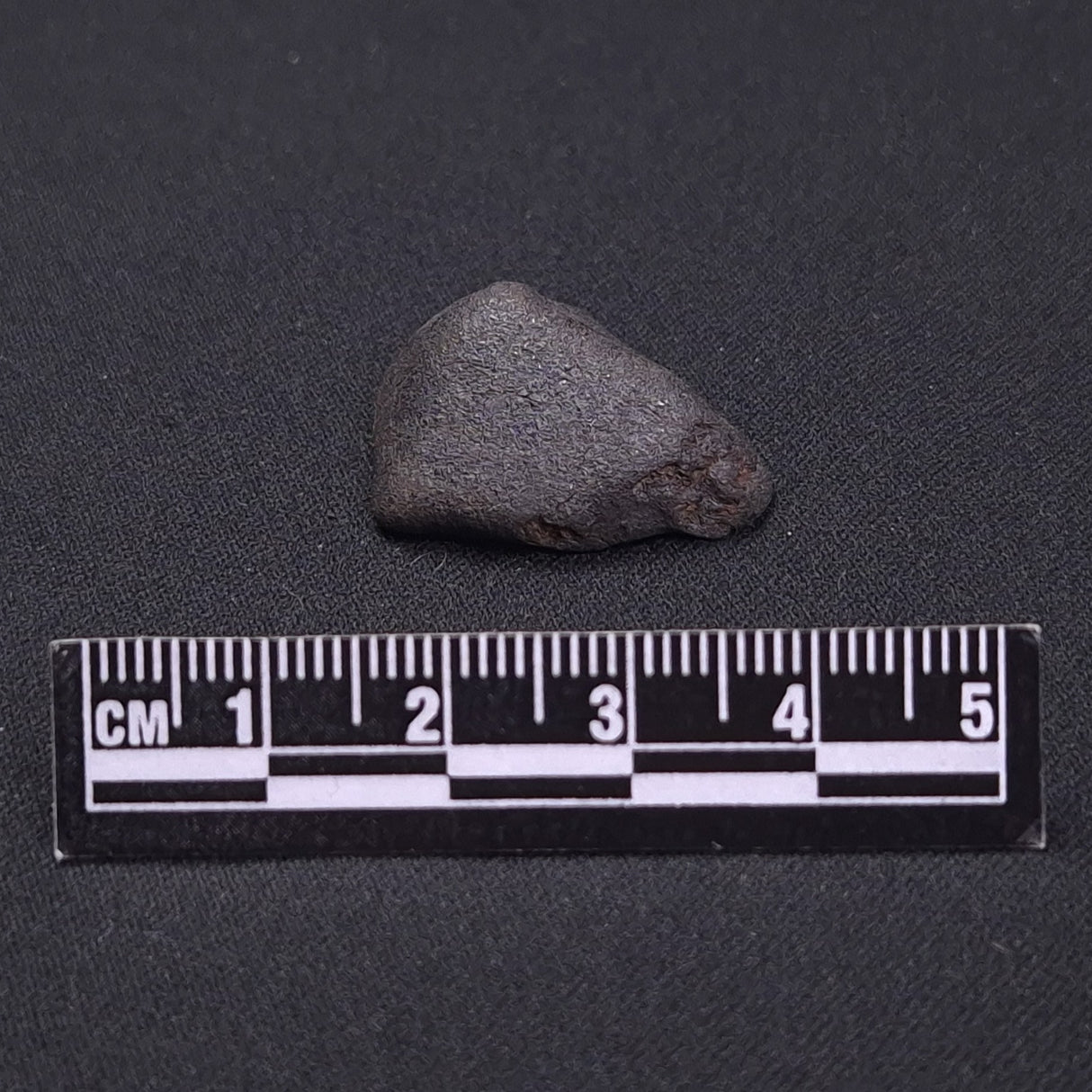 WILUNA METEORITE, H5 Chondrite, Australia YWM029