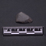 WILUNA METEORITE, H5 Chondrite, Australia YWM029