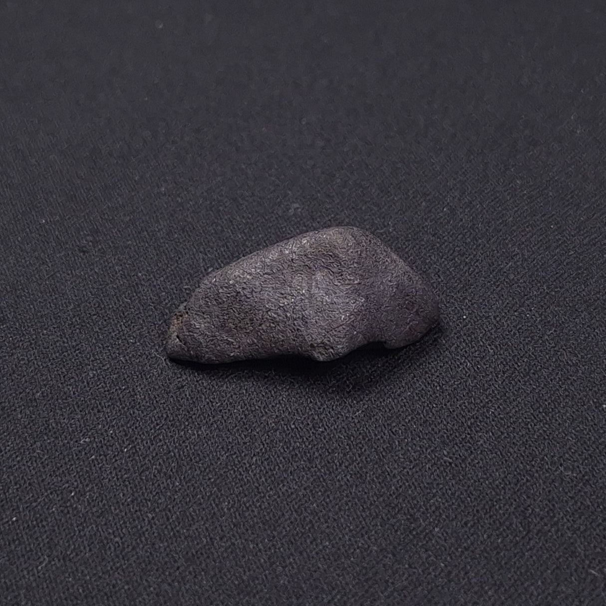 WILUNA METEORITE, H5 Chondrite, Australia YWM029
