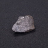 WILUNA METEORITE, H5 Chondrite, Australia YWM029