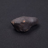 WILUNA METEORITE, H5 Chondrite, Australia YWM030