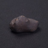 WILUNA METEORITE, H5 Chondrite, Australia YWM030