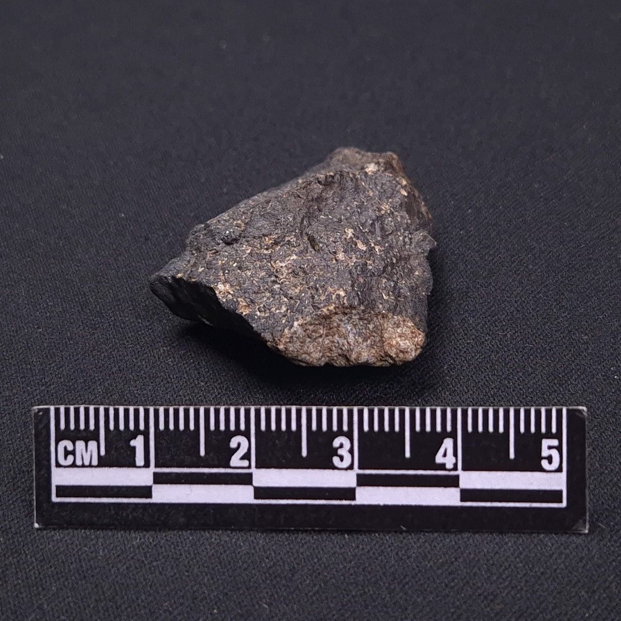 WILUNA METEORITE, H5 Chondrite, Australia YWM031